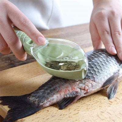 Eplucheur de poisson, Grattoir ou Brosse à écaille de poisson