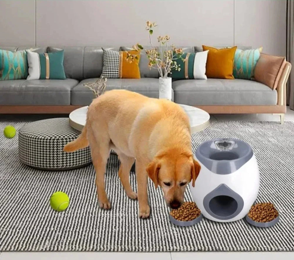 Lanceur de balle et distributeur de nourriture pour chat et chien