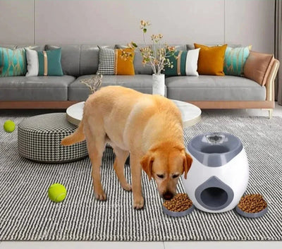 Lanceur de balle et distributeur de nourriture pour chat et chien