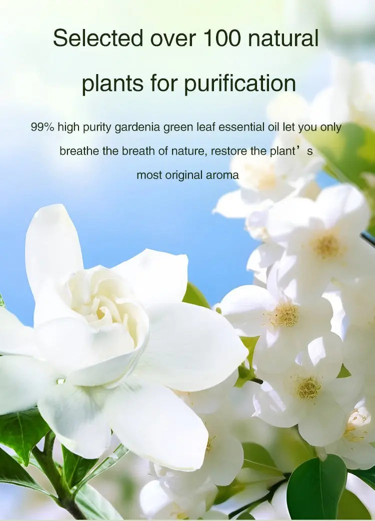 BARESY automatic aromatherapy diffuser for car with white gardenia flowers and natural plant essential oil imagery