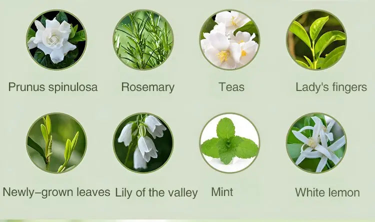 BARESY automatic aromatherapy diffuser for car scent options showing rosemary mint lily of the valley white lemon tea