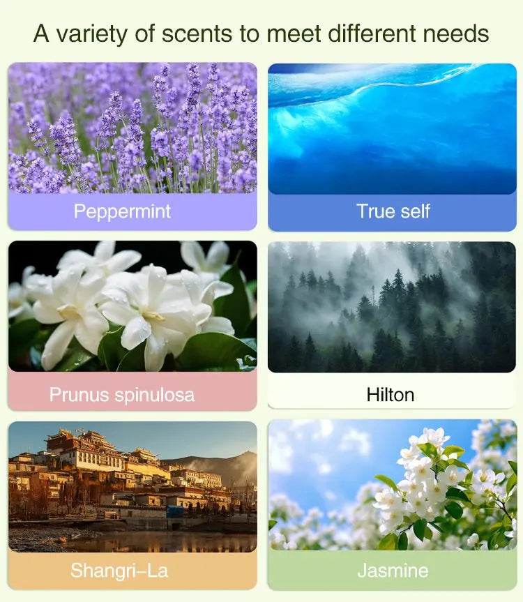 BARESY automatic aromatherapy diffuser for car showing six scent options including Peppermint Prunus spinulosa Hilton and Jasmine